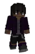 Voidzik