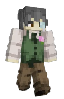 Front of Gaiamis's skin