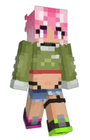 Skin preview