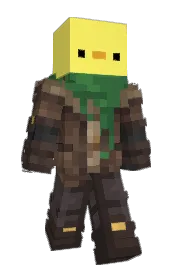 Skin preview