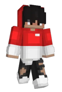 49IQ Minecraft avatar full body