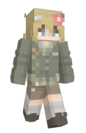 Skin preview