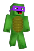 v2turtles