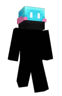 Front of wMisieur's skin