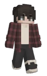 Minecraft skin — Classic model