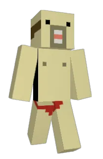 Front of KLpics's skin