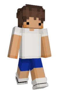 Vexyls's Minecraft skin