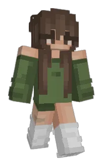 Front of Minecraft skin