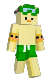 Skin preview