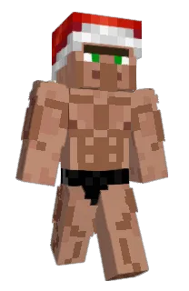 9Blocking's Minecraft skin