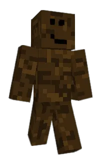 Front of Baerplay's skin