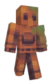 Skin preview