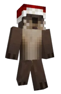 Front of sleepyb_'s skin