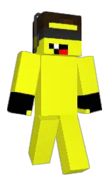 broom and black Minecraft skin — Classic model