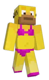 Custom render preview