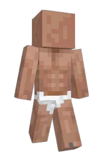 4Lynx Minecraft avatar full body
