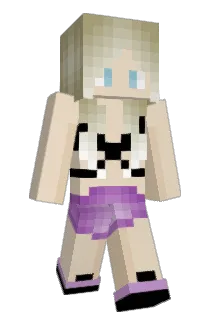 4N4L Minecraft avatar full body
