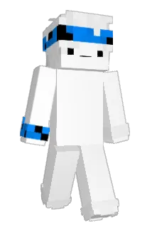 4S4 Minecraft avatar full body