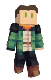 Skin preview