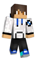 Minecraft skin — Classic model