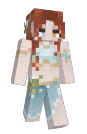 Skin preview