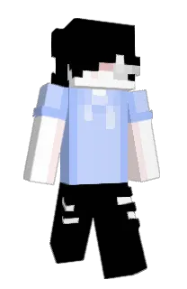 Front of 4NH's skin