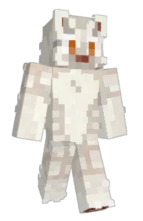 Front of 1luba's skin