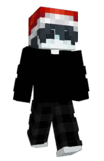 Front of fnbe's skin