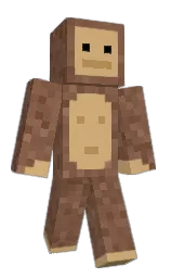 Back of Minecraft skin