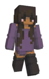 salt box and masala Minecraft skin — Classic model