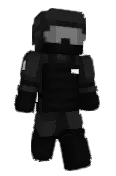 P__L