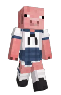 Front of Minecraft skin