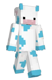 Front of kwsys's skin