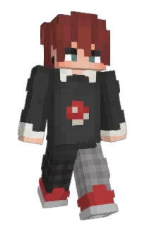 Front of perseiids's skin