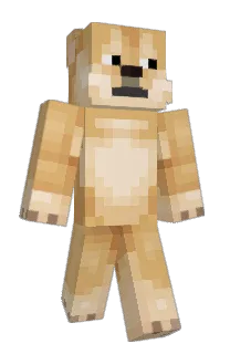 Front of Minecraft skin