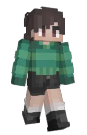 Skin preview
