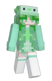Skin preview