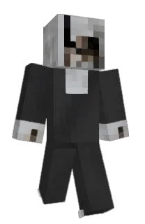 Front of rhinochemaera's skin