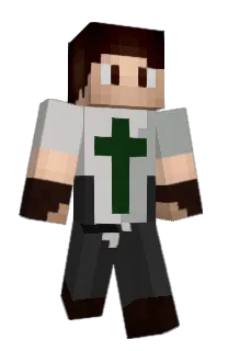 Front of TheFastWing's skin