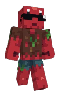 Pinne's Minecraft skin