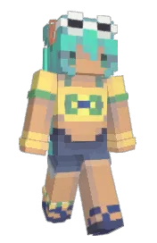 Skin preview