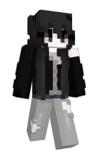Front of solliey's skin