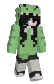 Skin preview