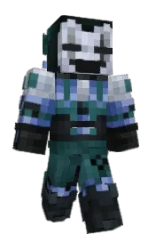 Skin preview