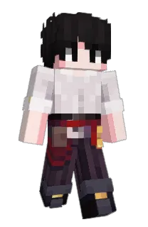 Front of Trideent's skin