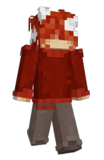 Front of Vistsity's skin