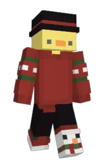 Front of ahonk's skin