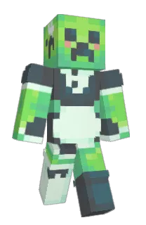 Front of HeneLee's skin