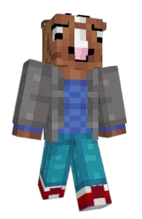 Front of Minecraft skin