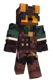 Skin preview
